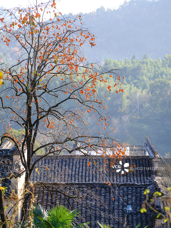 安徽塔川风光图片素材
