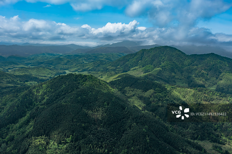 航拍武夷山脉高山树木与白云图片素材