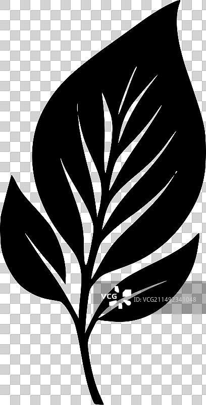 黑白叶子图片素材