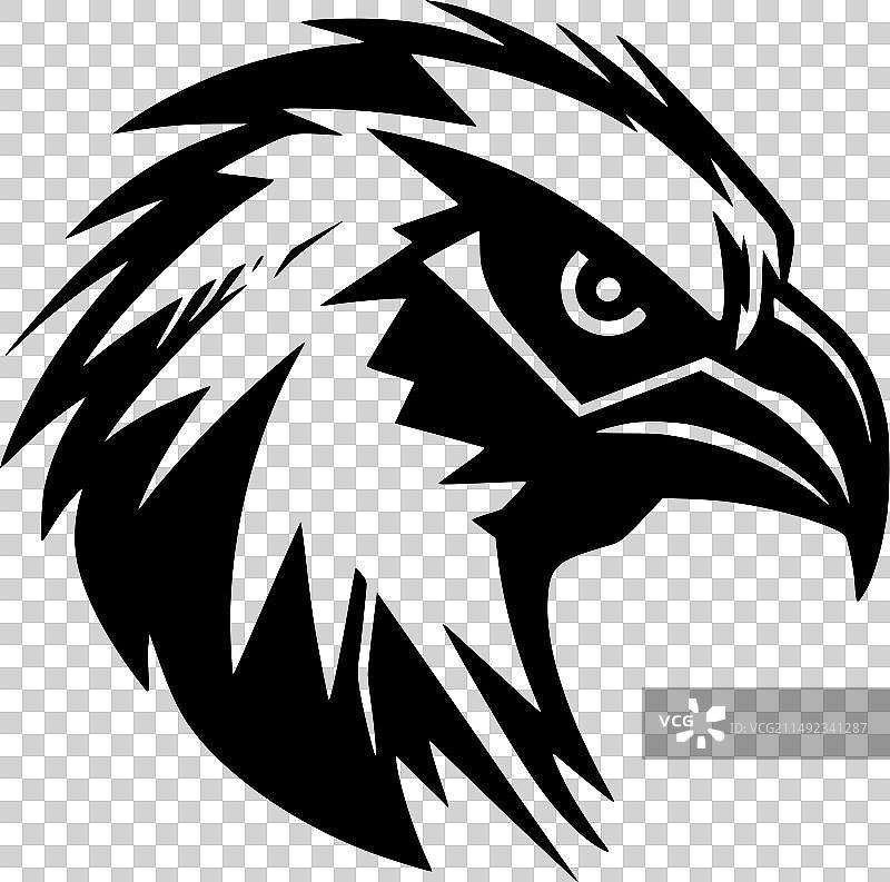 黑白鹦鹉图片素材