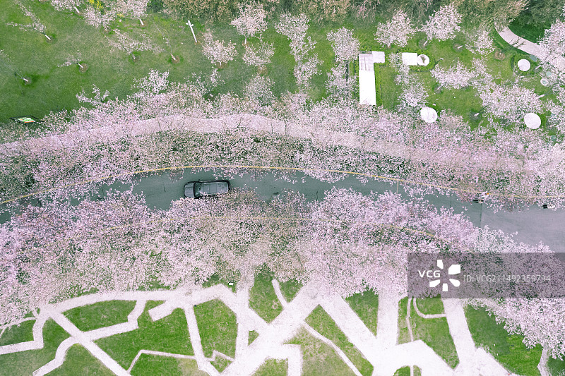 春天的样子图片素材