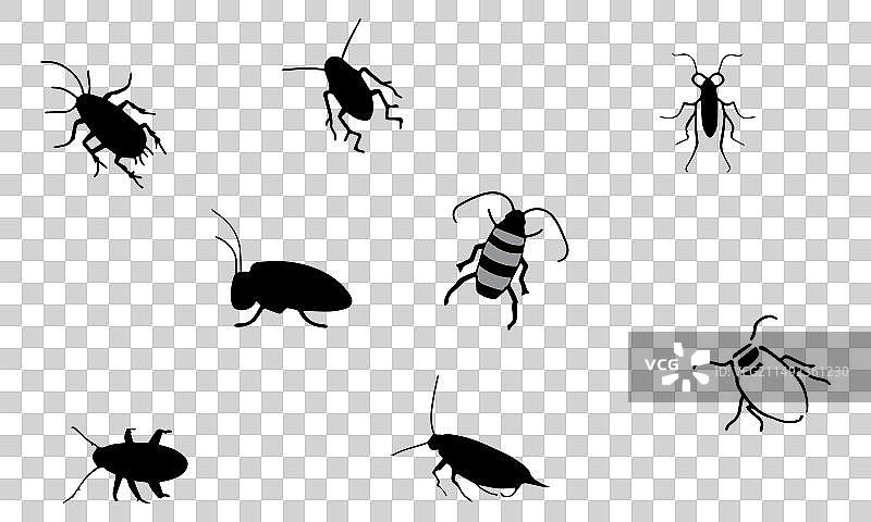 简约风格的棕色条纹蟑螂图标图片素材