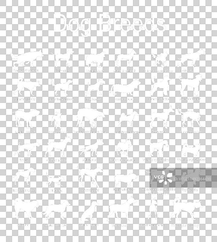 狗品种集合剪影图片素材