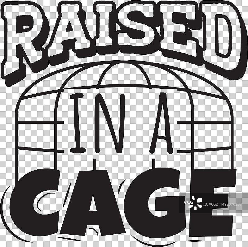 白色背景上的笼子设计图片素材