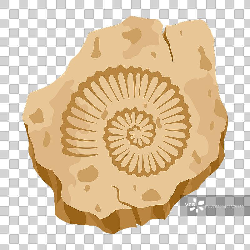 带有已灭绝生物印记的考古化石图片素材