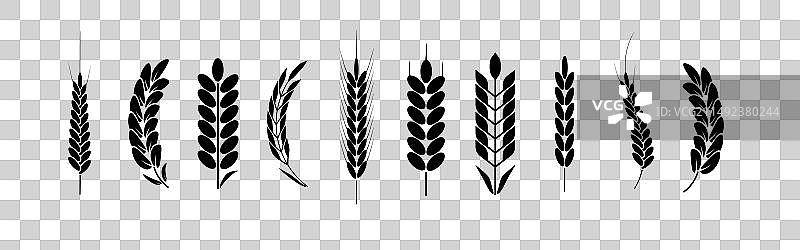 小麦黑麦logo设计图片素材