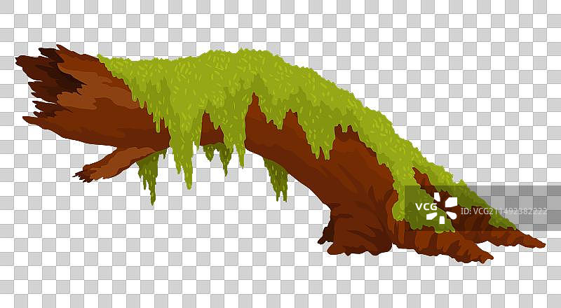 沼泽中苔藓卡通树地衣原木树桩图片素材