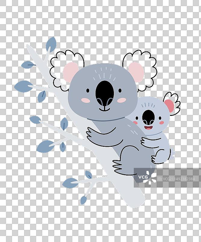 可爱的考拉一家：母亲和孩子们图片素材