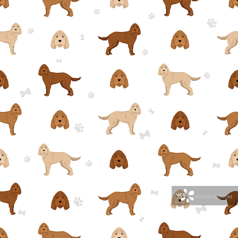 小鹿犬图案图片素材