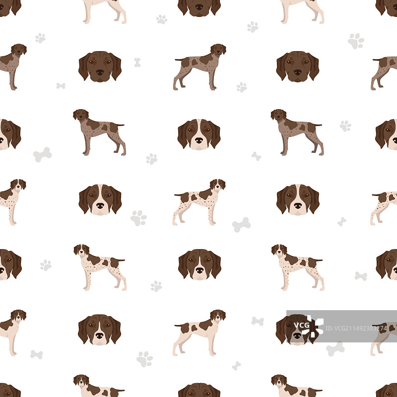 加斯科涅指示犬无缝图案图片素材