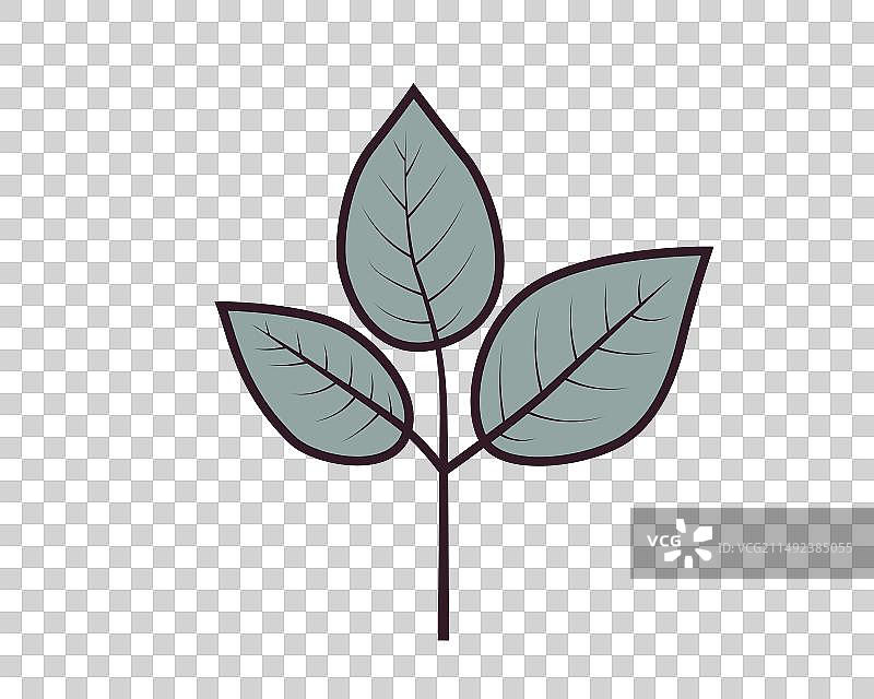 带叶嫩芽图标，自然植物符号图片素材