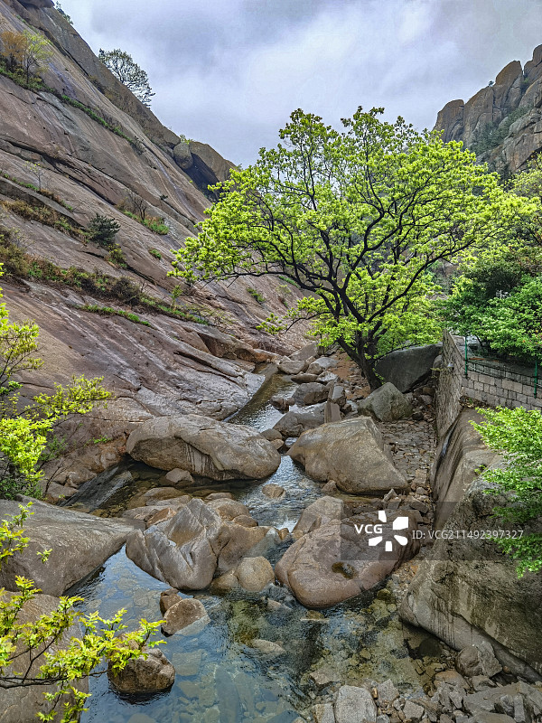 春山可望-崂山图片素材