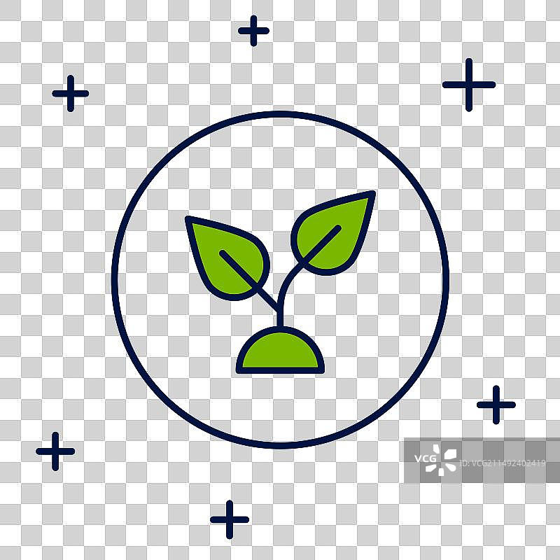 白色背景上的植物图标图片素材