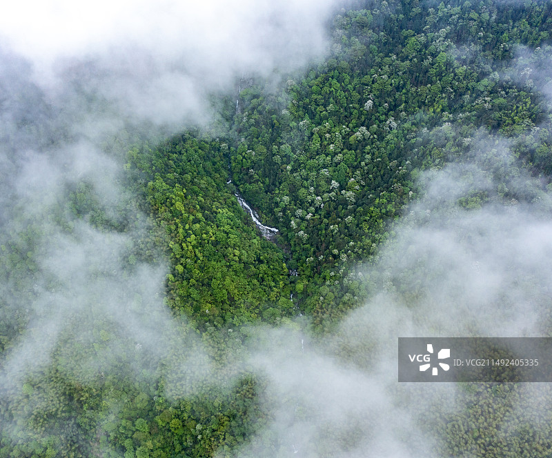 湖南长沙浏阳大围山雨后风光图片素材