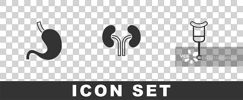 人的胃、肾脏和拐杖集合图片素材