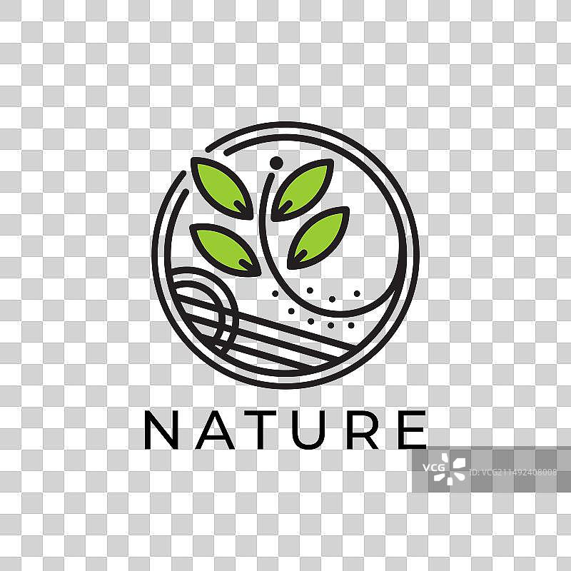 植物Logo设计简约线条艺术图片素材