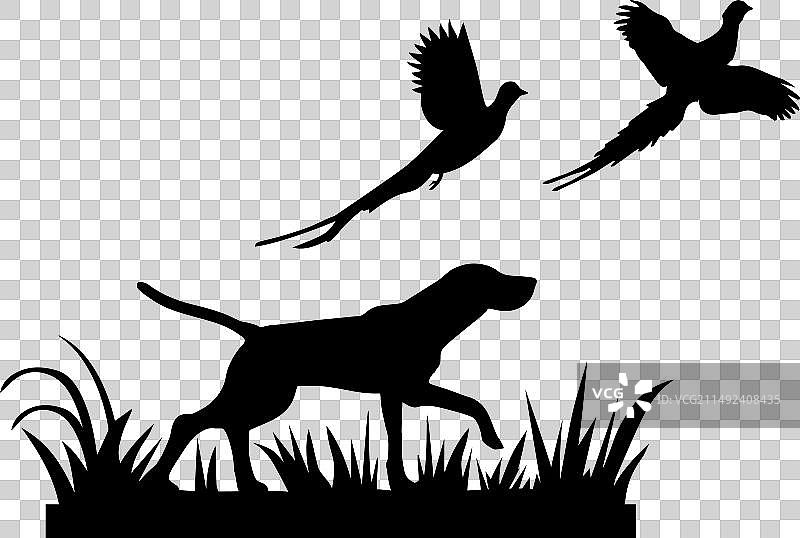 猎野鸡图片素材