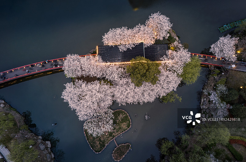 春季的宁波樱花公园航拍照片图片素材