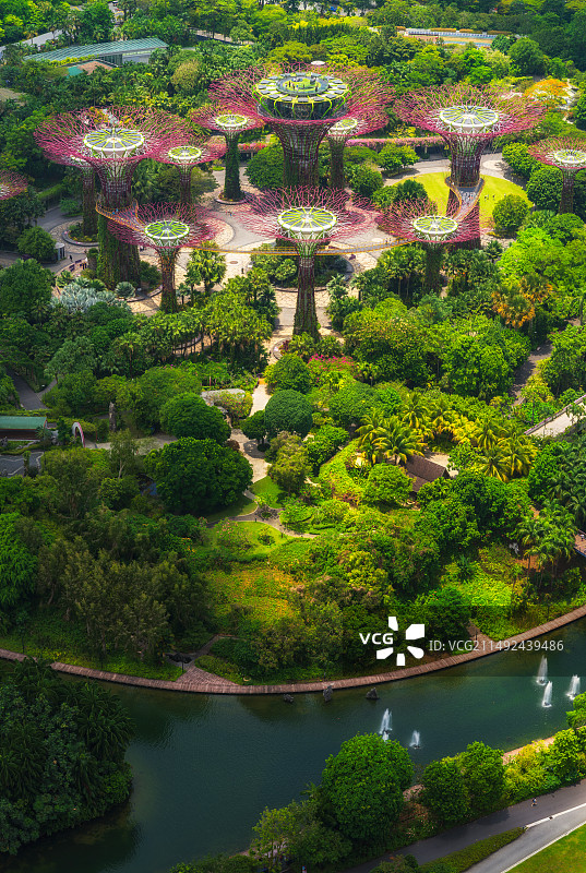 新加坡，滨海湾花园，地标建筑，擎天树，超级树，花穹，云雾林，绿色建筑，花园城市，航拍图片素材