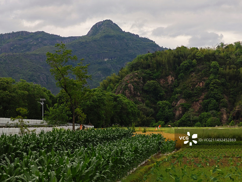 永嘉榴湾村图片素材