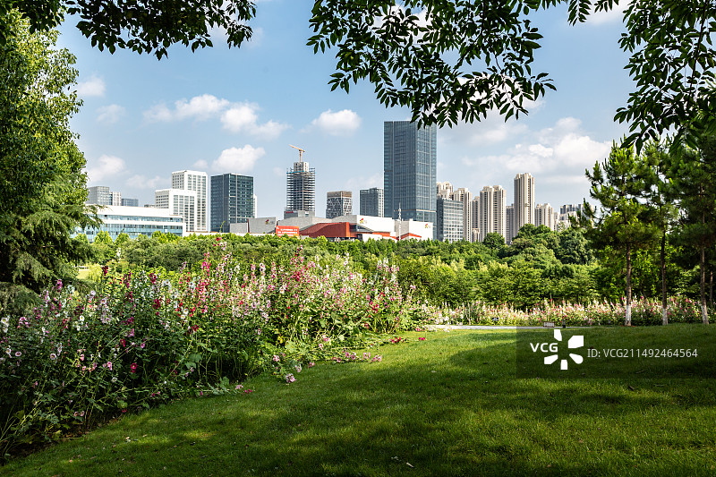 公园里的城市一角图片素材