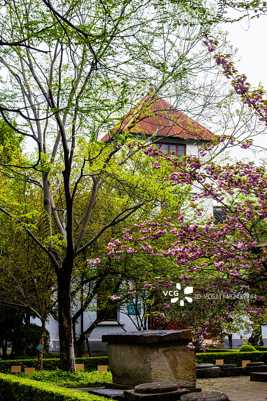 南通博物院的春天图片素材