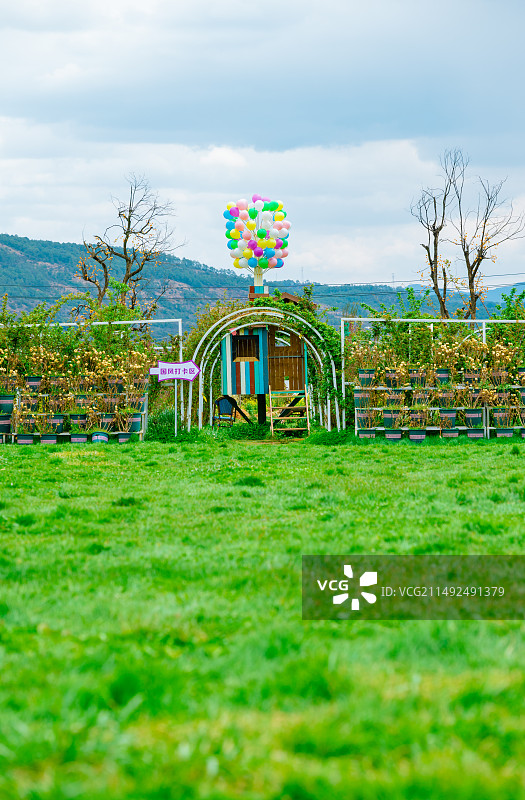 拉市海的田园风光图片素材