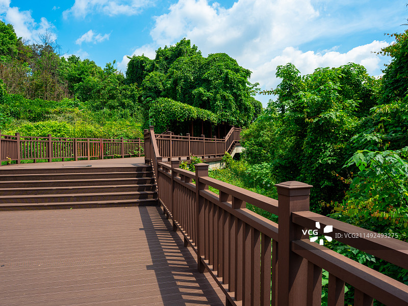 湖南省森林植物园图片素材