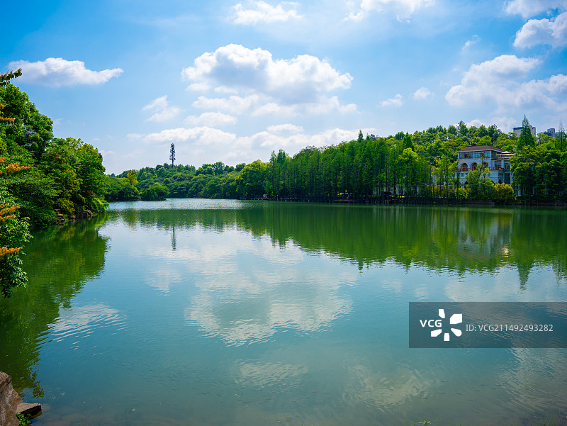 湖南省森林植物园图片素材