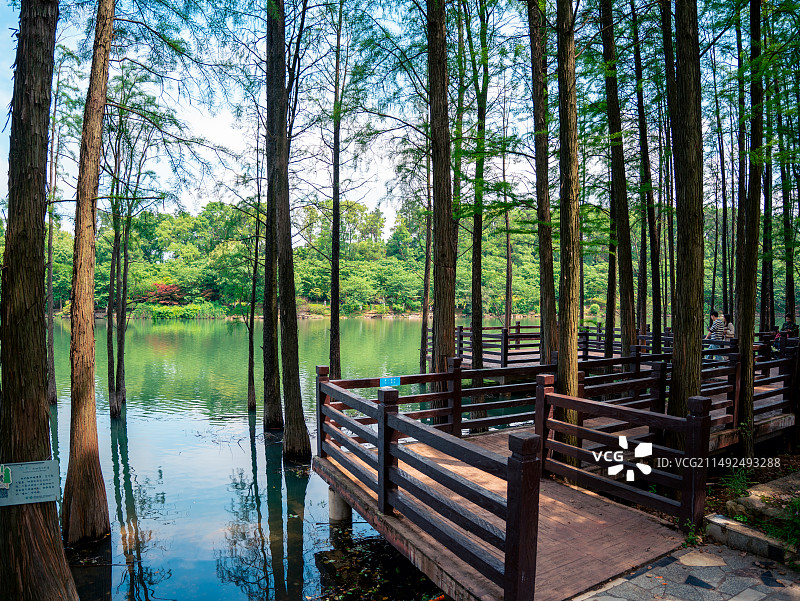 湖南省森林植物园图片素材