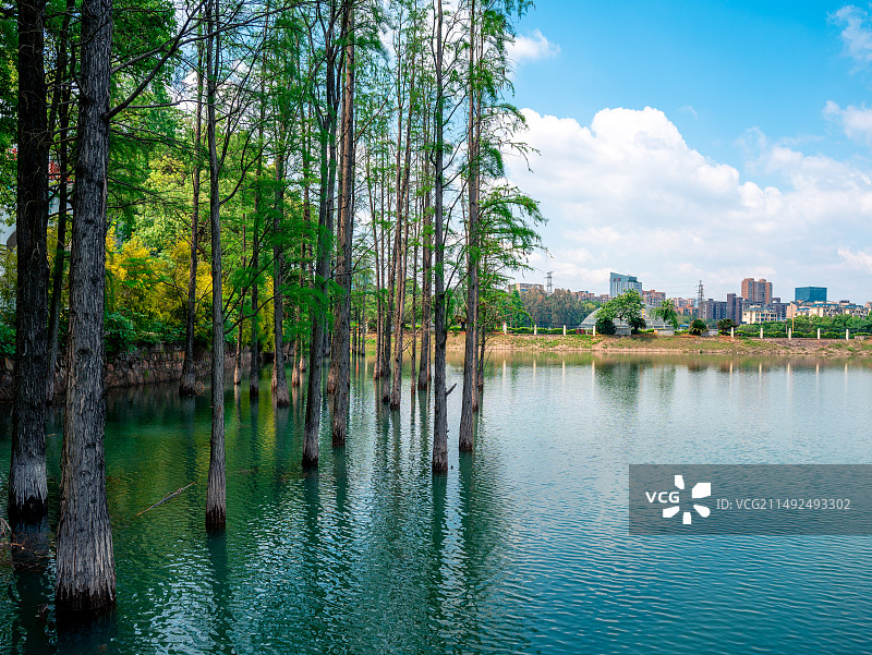 湖南省森林植物园图片素材