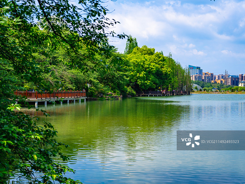 湖南省森林植物园图片素材
