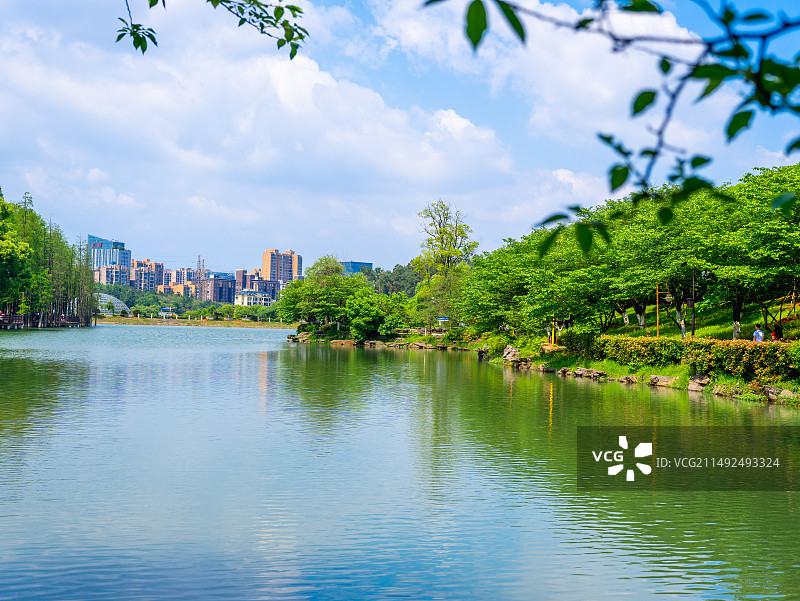 湖南省森林植物园图片素材