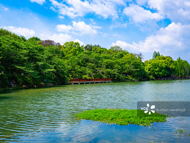 湖南省森林植物园图片素材