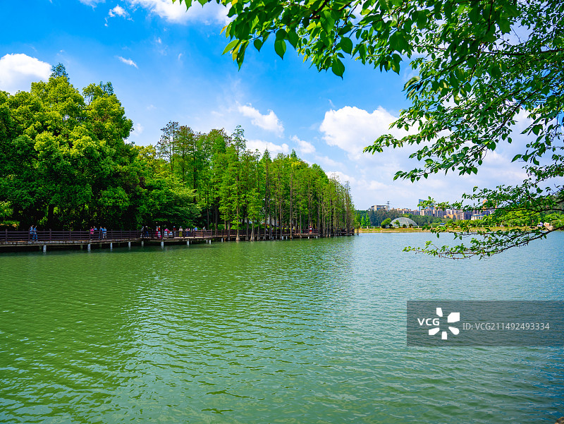 湖南省森林植物园图片素材