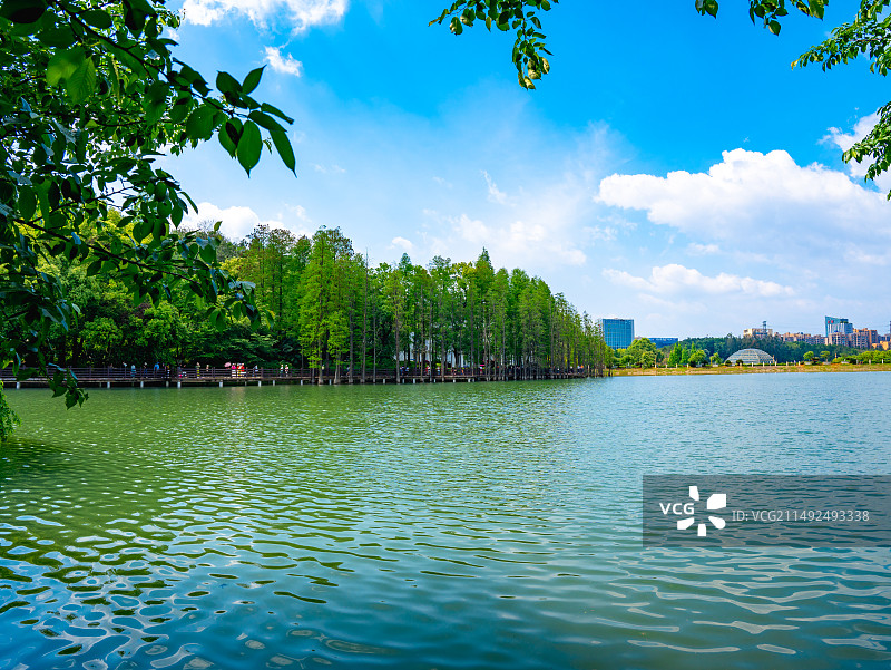 湖南省森林植物园图片素材