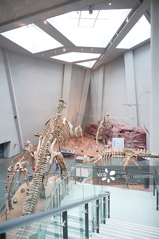 重庆自然博物馆恐龙化石博物馆图片素材