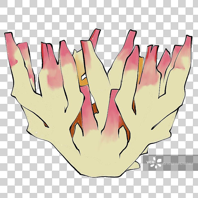 生姜紫姜嫩紫姜食材中药手绘插画元素图片素材