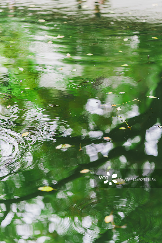 春日绿意盎然的湖水荡起涟漪泛起清波图片素材