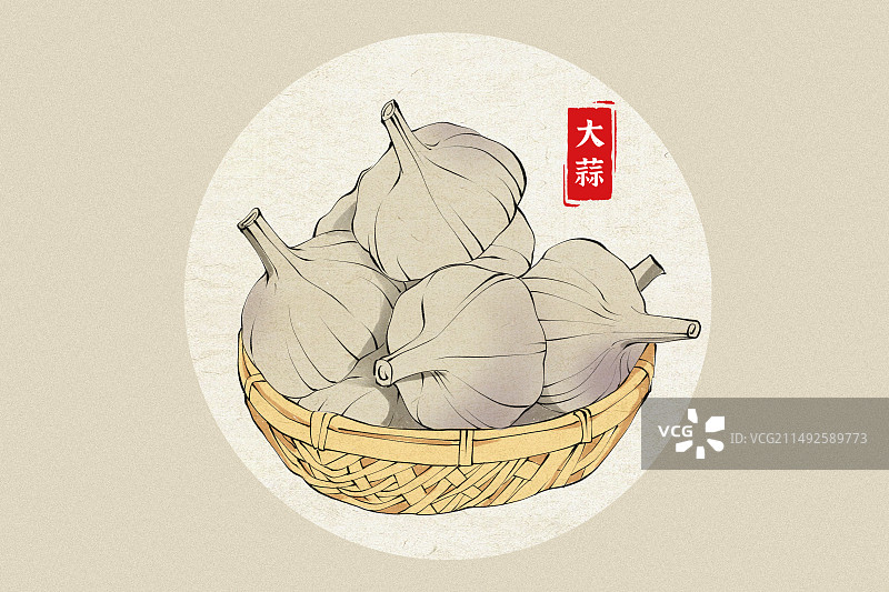 大蒜插画图片素材