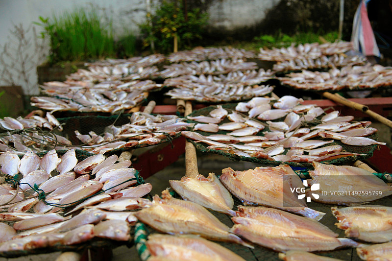 珠海淇澳岛白石街晾晒的鱼干图片素材
