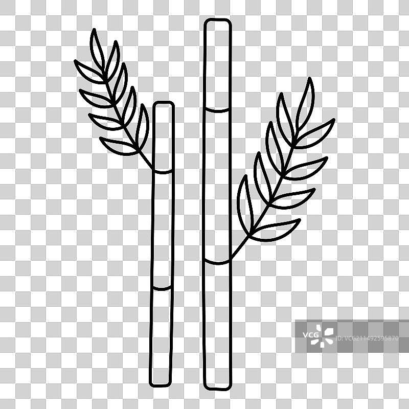 竹子树干与树叶常绿植物图案图片素材