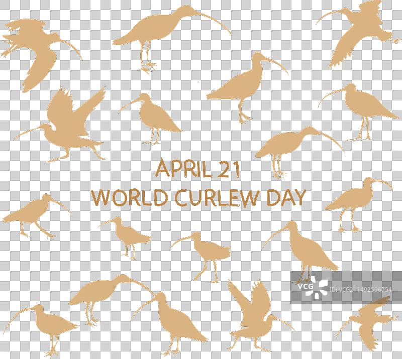 世界丘鹬日图片素材