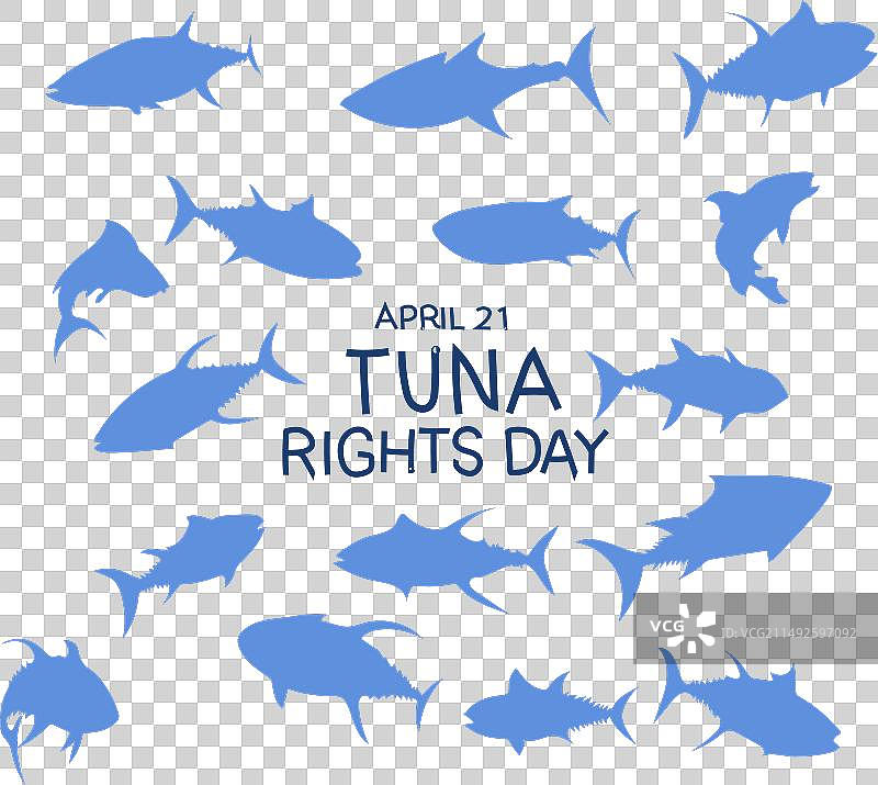 世界金枪鱼日图片素材