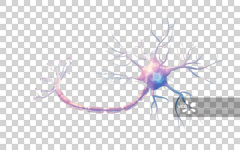 神经元细胞生物概念三维渲染图片素材