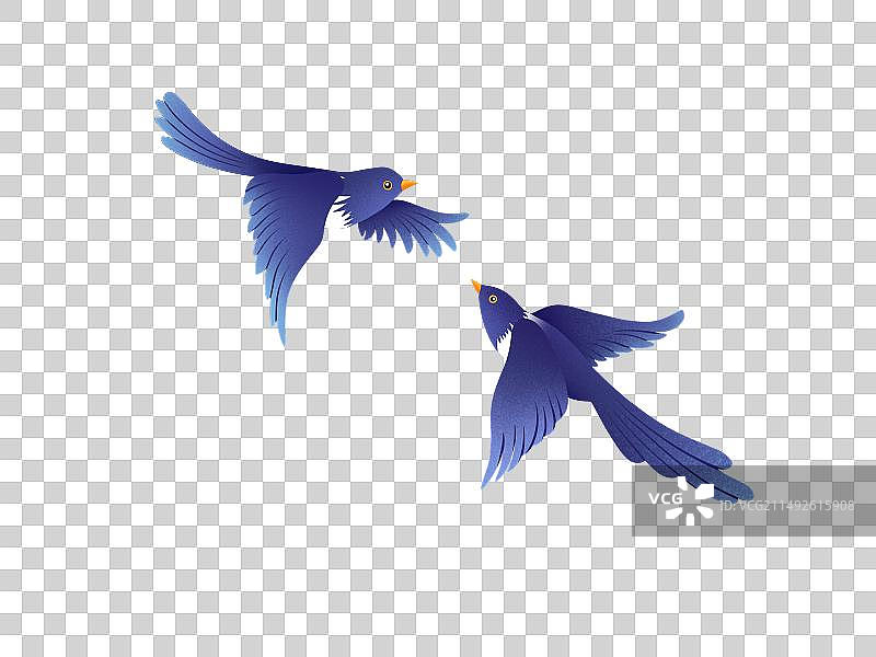 七夕喜鹊插画.png图片素材