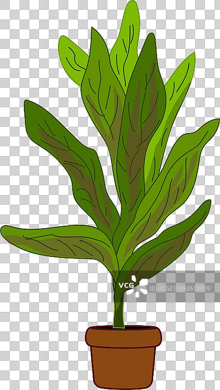 盆栽图标卡通栀子花养护图片素材