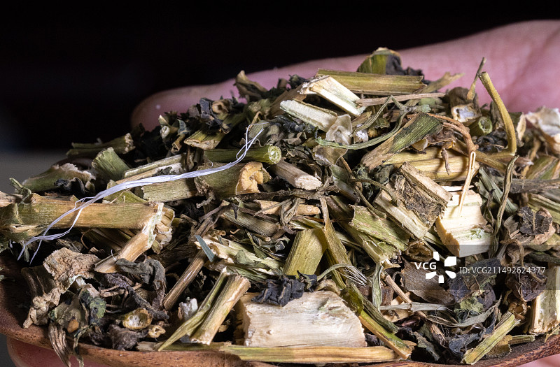 中药龙葵图片素材