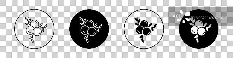 杜松子浆果蓝莓图标集图片素材