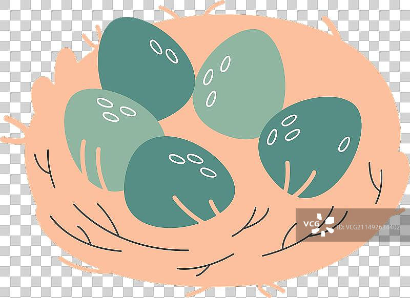 鸟蛋鸟巢图片素材